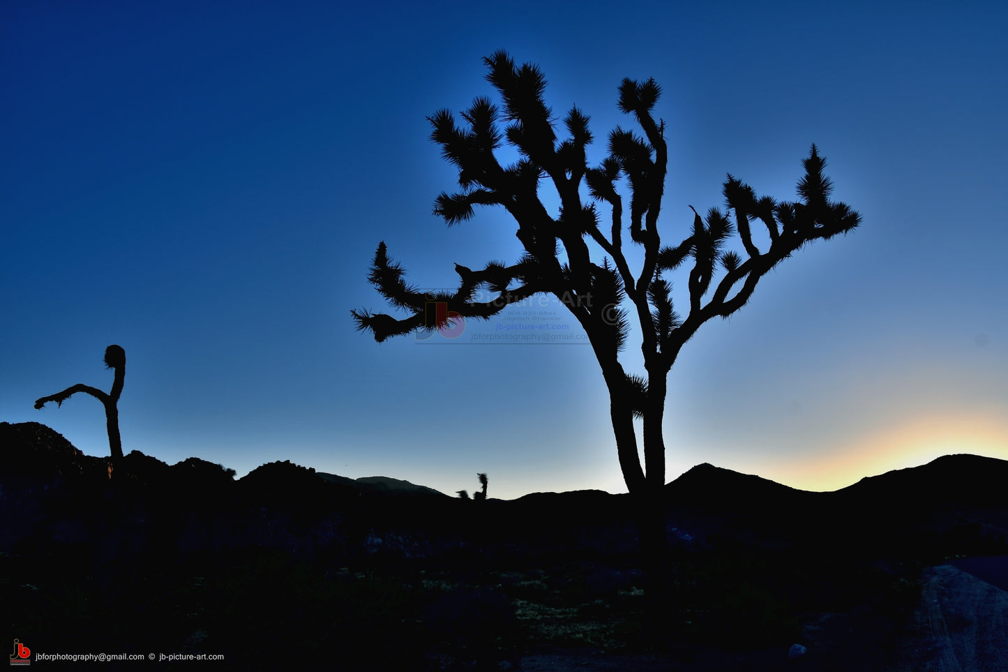 Joshua Tree